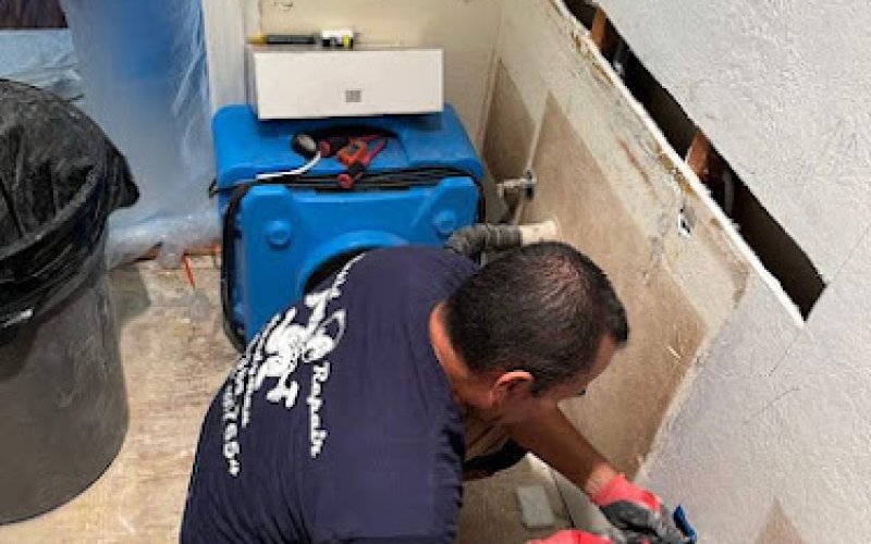 Rapid Repair Construction
