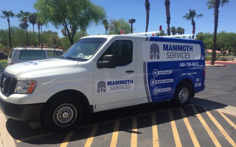 Mammoth Services