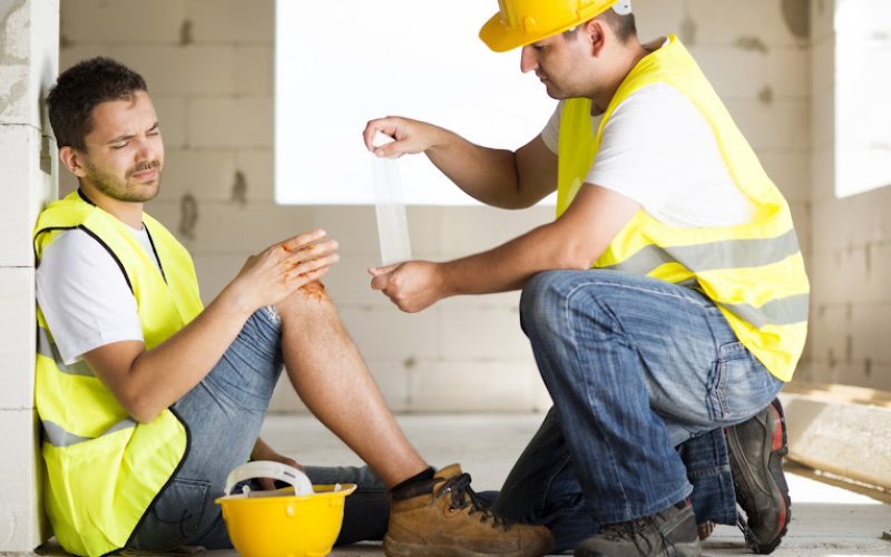 HandyMan Pro
