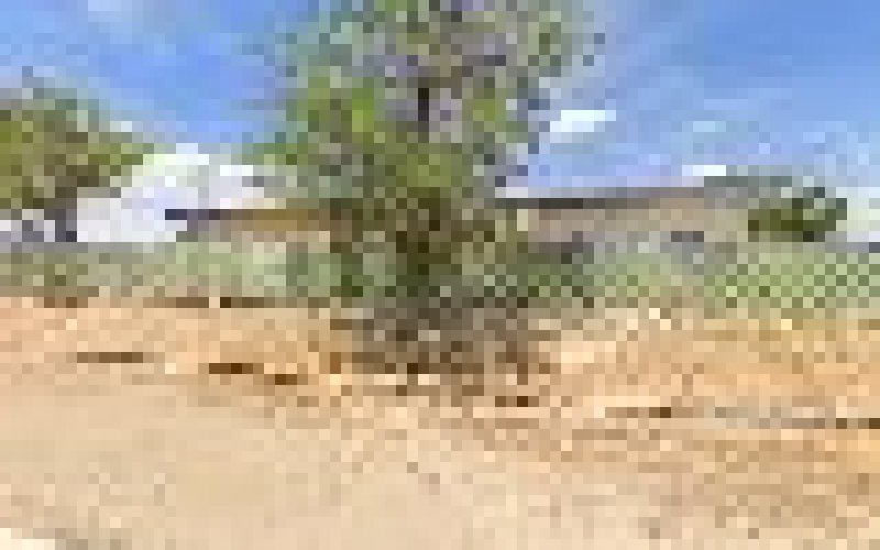 Steve's Handyman & Yard Services — Handyman/Handywoman/Handyperson in Victorville